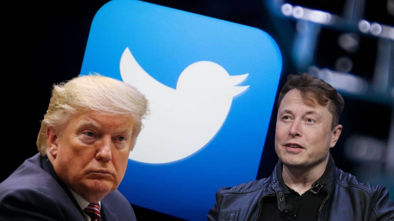 Donald Trump Twitter: কথা রাখলেন মাস্ক, পোলে জিততেই ফিরিয়ে দিলেন ডোনাল্ড ট্রাম্পের টুইটার অ্যাকাউন্ট