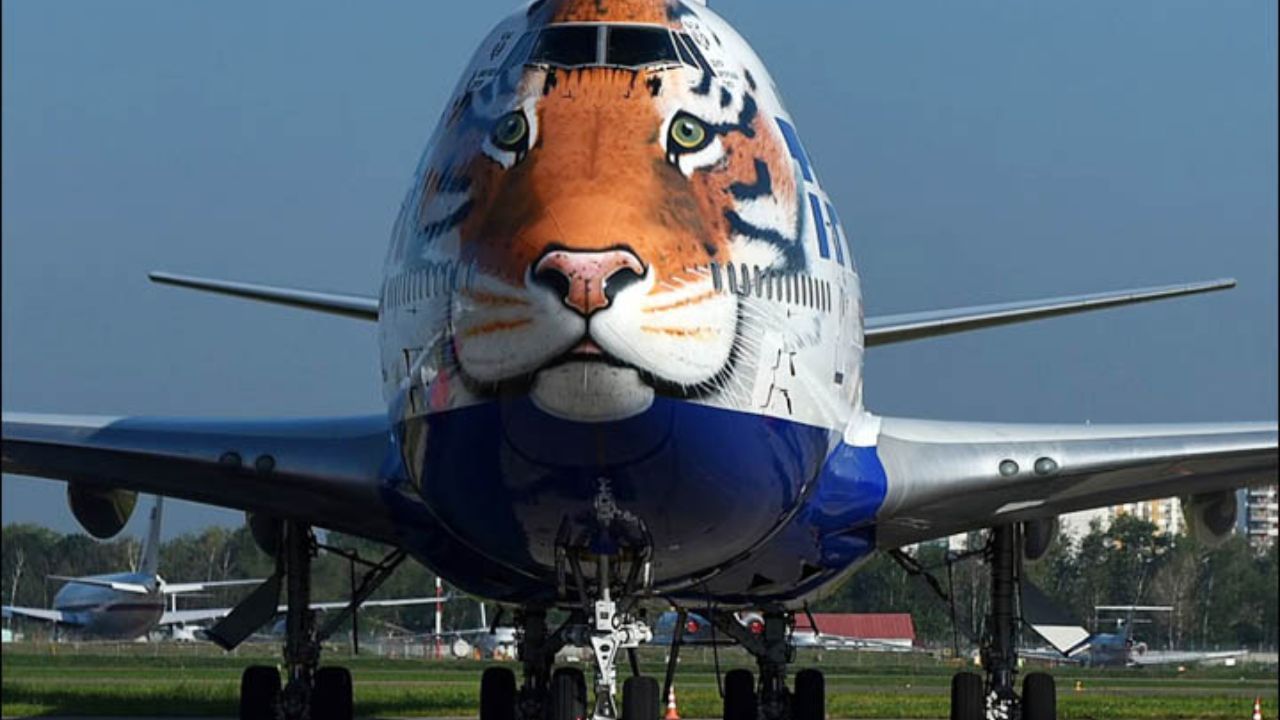 ১৭ সেপ্টেম্বর নামিবিয়া থেকে বিশেষ কার্গো বিমানে নিয়ে আসা হয় ৮টি আফ্রিকান চিতা, যার মধ্যে ছিল ৫টি পুরুষ ও ৩টি মহিলা চিতা। চিতাদের নাম রাখা হয় ফ্রেডি, আলটন, সাভানা, সাশা, ওবান, আশা, সিবিলি এবং সাইসা।