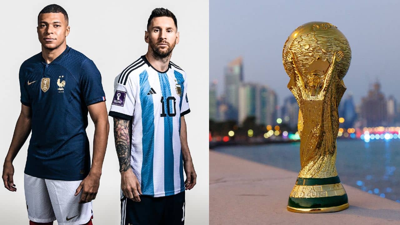 FIFA World Cup 2022: মাছ, বিড়াল, সারমেয়; ফাইনাল নিয়ে এক ঝাঁক প্রাণীর ভবিষ্যদ্বাণী