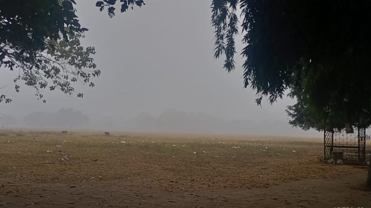 তবে আশার খবর, বর্ষশেষে কমতে পারে তাপমাত্রা। ফিরতে পারে শীত। কিন্তু জাঁকিয়ে শীত পড়বে কি না, তা নিয়ে সংশয় থাকছেই। (ছবি: অরিত্র ঘোষ)