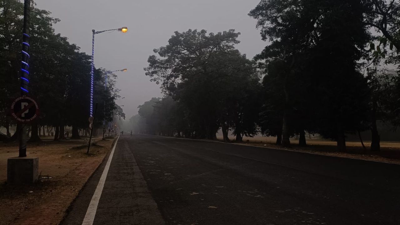 আবহবিদরা বলছেন, উত্তুরে হাওয়ার জোগান কমেছে। সেই সঙ্গে বঙ্গোপসাগর থেকে জলীয় বাষ্প ঢুকছে। দুয়ে মিলিয়ে মাঝ পৌষে শীত একেবারে কুপোকাত। (ছবি: অরিত্র ঘোষ)