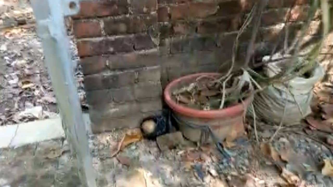 Bhangar Gun Shot: তৃণমূল নেতার বাড়ি লক্ষ্য করে ১২ রাউন্ড গুলি, বেপরোয়া বোমাবাজি, আবারও উত্তপ্ত ভাঙড়