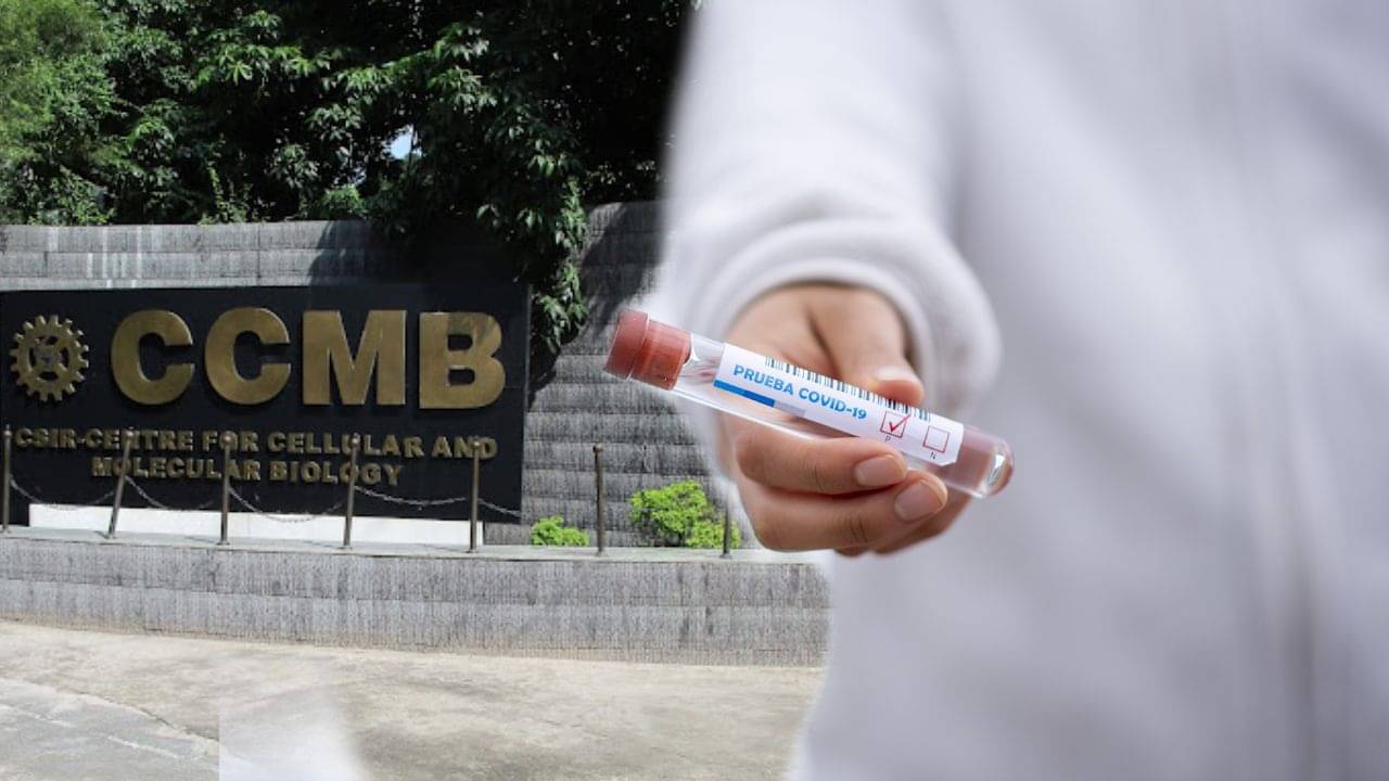 BF.7 Scare in India: ডেল্টা হবে না বিএফ.৭, চিন-ভারতের পরিস্থিতি আলাদা