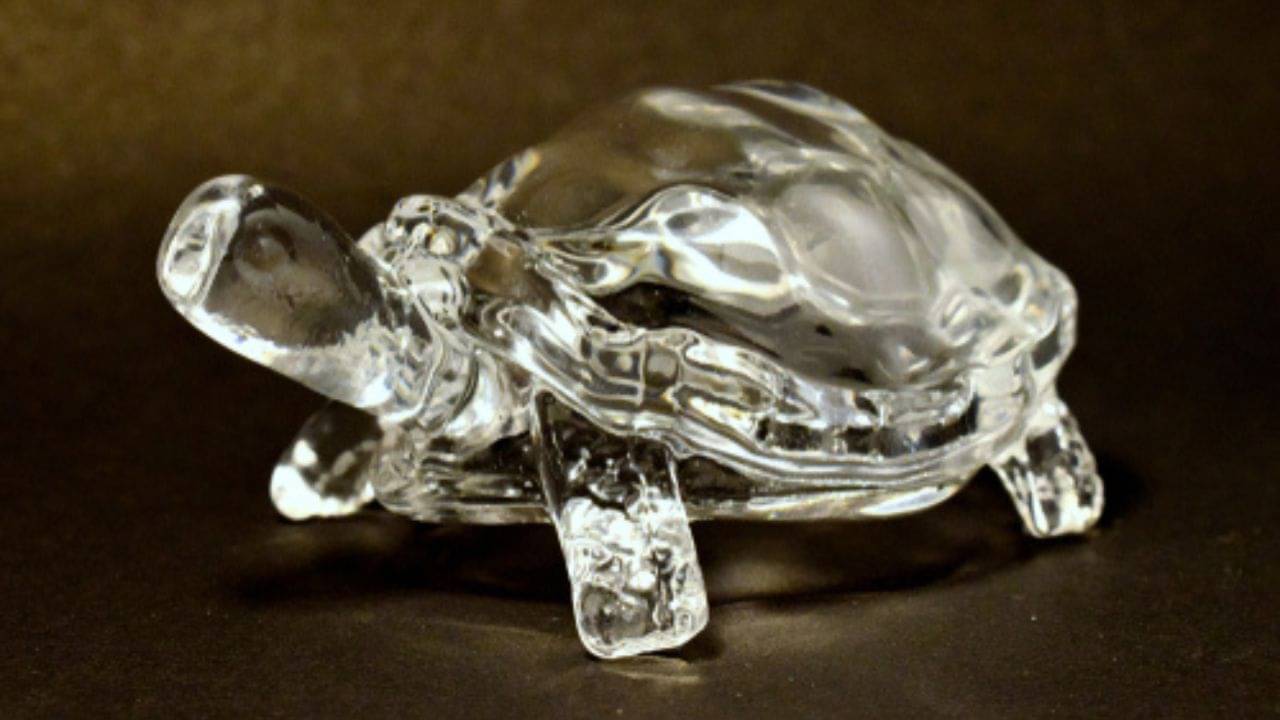 Crystal Turtle: ব্যবসায় মন্দা, গৃহে অশান্তি! বাস্তুমতে, সব সমস্যার সমাধান ঘটাতে ঘরে রাখুন এই বিশেষ কচ্ছপ