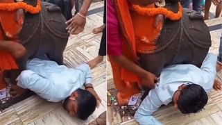 Viral Video: শেরওয়ানি পরে নিতবরের ভূমিকায় পোষ্য কুকুর, বাইকে বসিয়েই বিয়ে করতে ঢুকলেন বর