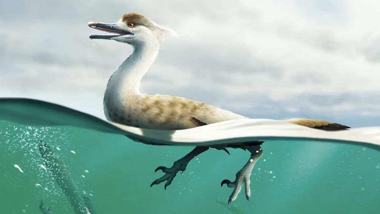 Duck Like Dinosaur: অবাক ডাইনোসর জীবাশ্মের সন্ধান, শরীরটা হাঁসের মতো, বড় প্রাণী শিকারে ওস্তাদ