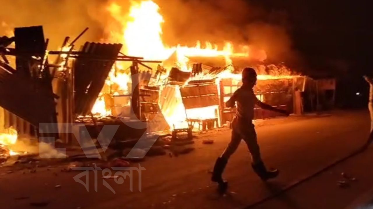 Fire in New Town: ভোররাতে বাগজোলা খাল পাড়ে বিধ্বংসী আগুন, পুড়ে খাক সারি সারি দোকান