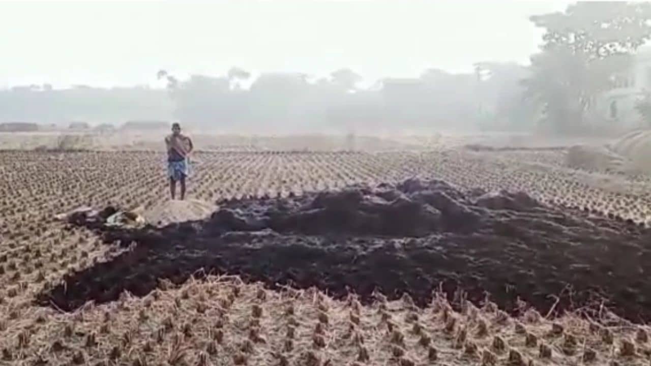 Ghatal: রাতে ধান ঝেড়ে রেখেছিলেন, সকালে ক্ষেতে দেখলেন সবটা ছাই! বাকরুদ্ধ চাষি