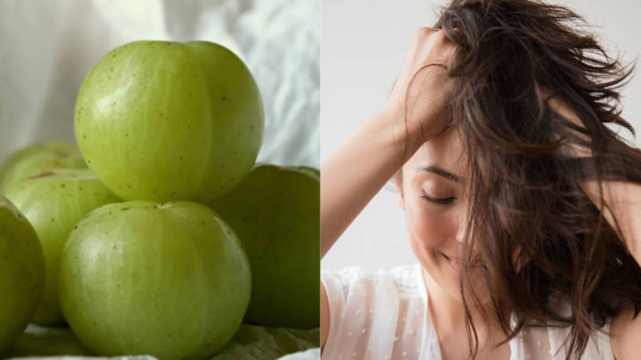 Amla for Hair: মা-ঠাকুমাদের পুরনো টোটকা এভাবে কাজে লাগান, খুশকি, চুল পড়া দূর হবে মাত্র ৭ দিনে