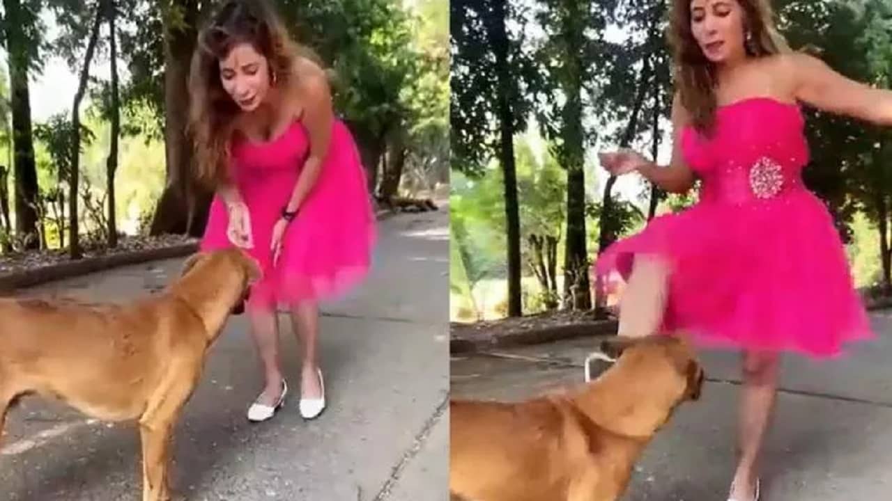 Viral Video: রিল-এর জন্য পথকুকুরকে আক্রমণ, ইনস্টা-সেলিব্রিটিকে পশুদের থেকে দূরে থাকার পরামর্শ নেটিজ়েনদের