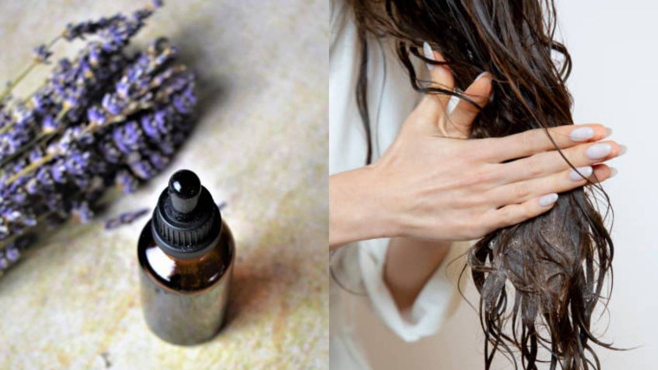 Lavender Essential Oil: মাত্র ৭ দিনে বন্ধ হবে চুল পড়া, পরখ করে দেখুন ল্যাভেন্ডার এসেনশিয়াল অয়েল