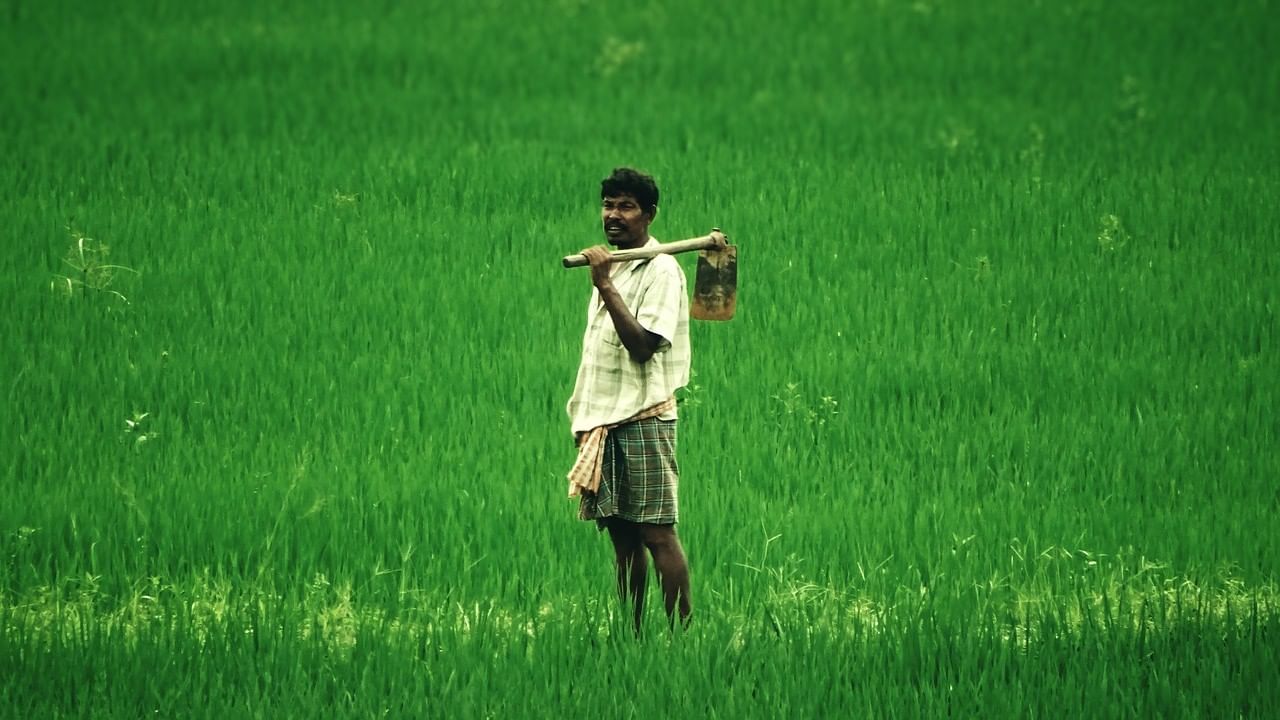 দেশের ক্ষুদ্র ও প্রান্তিক কৃষকদের জন্য প্রধানমন্ত্রী কিষাণ সম্মান নিধি যোজনার সূচনা করেছিলেন প্রধানমন্ত্রী নরেন্দ্র মোদী। এই যোজনার আওতায় সুবিধাভোগী কৃষকদের অ্য়াকাউন্টে প্রতি বছর সরাসরি ৬ হাজার টাকা করে দেয় কেন্দ্রীয় সরকার। তিনটি কিস্তিতে এই টাকা দেওয়া হয়ে থাকে। 