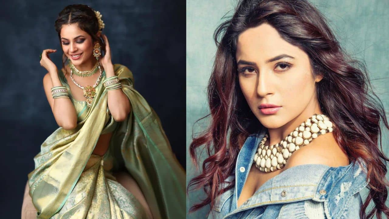 Shehnaaz Gill Struggle: বাড়ি থেকে পালিয়েছিলেন, এমন পরিবার খুব কমই আছে, কেন বলললেন শেহনাজ