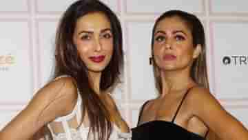 Malaika Arora: বড়লোক স্বামী নিয়ে বোনকে খোঁটা, মালাইকা-অমৃতার সম্পর্কে চরম অবনতি?