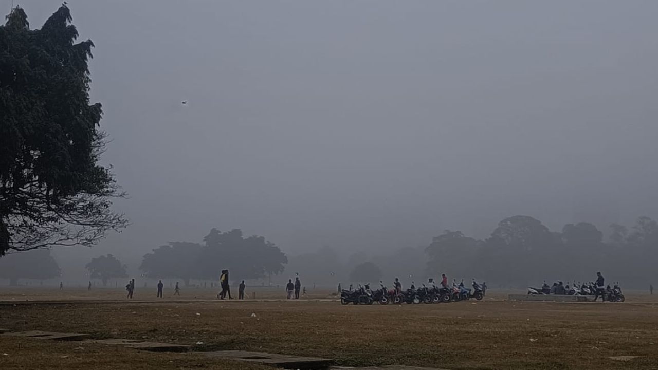 গত মঙ্গলবারও কলকাতার তাপমাত্রা ২০ ডিগ্রির উপরে উঠে যায়। তার দু'দিন পর আবার তাপমাত্রা নিম্নমুখী হয়। (ছবি: অরিত্র ঘোষ)