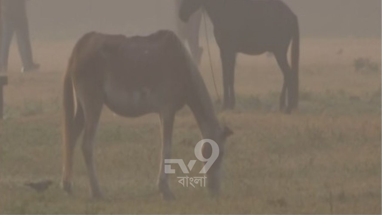 বড়দিনের মরশুমেও খুব বেশি ঠান্ডা থাকার সম্ভাবনা আপাতত নেই বলেই জানাচ্ছে হাওয়া অফিস। বরং তাপমাত্রা ১-২ ডিগ্রি সেলসিয়াস বাড়ার সম্ভাবনাও থাকছে। ২৩ ডিসেম্বরের পর থেকে বঙ্গোপসাগর থেকে প্রচুর পরিমাণে জলীয় বাষ্প দক্ষিণবঙ্গে ঢুকতে পারে এবং সেক্ষেত্রে তাপমাত্রা কিছুটা বাড়ার সম্ভাবনা রয়েছে।