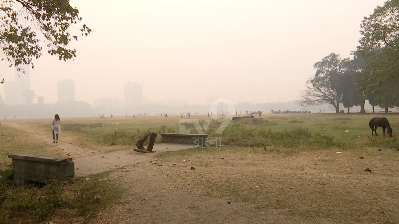 কলকাতার তাপমাত্রা ১৩-১৫ ডিগ্রি সেলসিয়াসের আশপাশে ঘোরাফেরা করবে। জেলাগুলির ক্ষেত্রে তাপমাত্রা আরও কিছুটা কম থাকবে। দমদমে আজকের তাপমাত্রা ছিল ১২.৫ ডিগ্রি সেলসিয়াস।