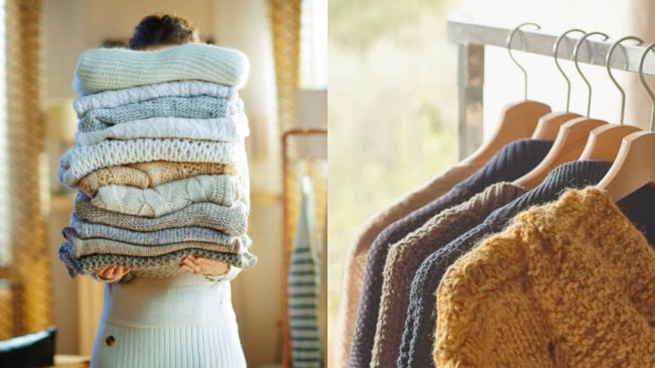 Winter Clothes: একবার কাচার পরই সোয়েটারে রোঁয়া ওঠে? শীতবস্ত্রের যত্নে যা কিছু মেনে চলবেন...
