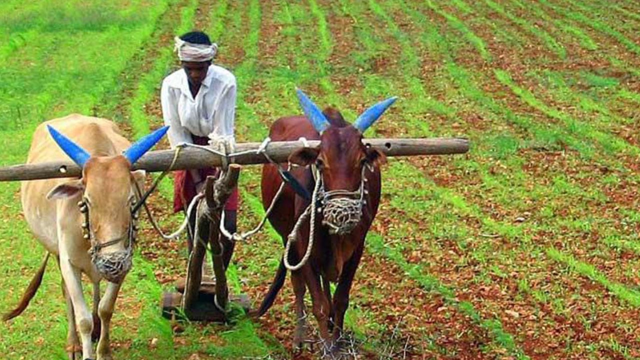 যদি একটি জমি থাকে, যা সাড়ে ৭ একর বা তার বেশি, সঙ্গে একটি সেচযন্ত্র থাকে।