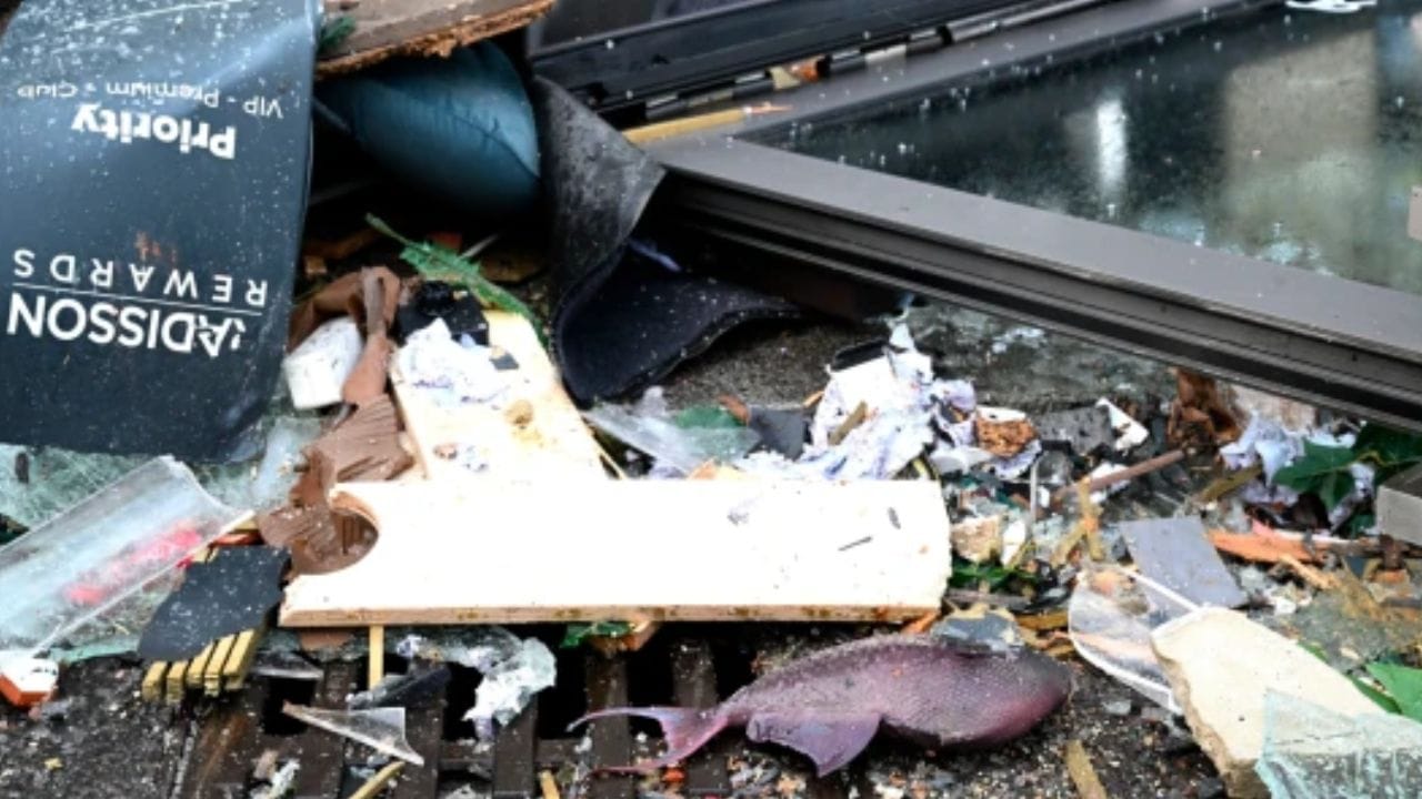 অ্যালেক্সেইয়ের কথায়, ঘটনার সময় নিজের রুমে ছিলেন তিনি। মনে হল ঘরটি কেঁপে উঠল। ছুটে বাইরে বেরিয়ে আসেন। চারিদিকে তখন কাচের টুকরো ছড়িয়ে ছিটিয়ে। মনে হচ্ছিল কোনও বিপর্যয় ঘটে গিয়েছে। হোটেলে প্রায় ৩৫০ অতিথি ছিলেন। সকলকেই নিরাপদে বের করে আনে পুলিশ প্রশাসন। কিন্তু কীভাবে ঘটল এমন ঘটনা, তার জবাব এখনও মেলেনি।  ছবি সংগৃহীত