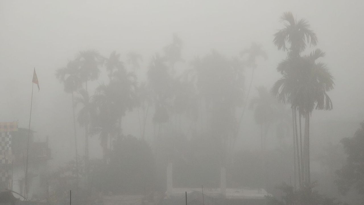 সকাল থেকেই জেলায় জেলায় কুয়াশার ছবি দেখা যাচ্ছে। বিশেষ করে উত্তরবঙ্গে। সেখানে নেমেছে পারদও। ডুয়ার্স যেন কুয়াশার চাদরে ঢাকা। ঠান্ডা, শীতল হাওয়া বইছে বিস্তীর্ণ ডুয়ার্সে। জাতীয় সড়ক থেকে রাজ্য সড়ক, কুয়াশার কারণে দৃশ্যমানতা অনেকটাই কম। ১২ ডিগ্রি সেলসিয়াসে নেমে গিয়েছে সকালের তাপমাত্রা।