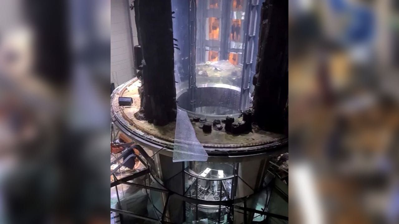 এদিন অ্যাকোয়ারিয়াম ভেঙে পড়ার পর সেই মাছ ছড়িয়ে ছিটিয়ে যায় হোটেলচত্বরে। কয়েকটি আবার লবিতে উপস্থিত কয়েকজন গায়েও গিয়ে পড়ে। এদিকে এই ঘটনার পর ভয়ে ছোটাছুটি করতে শুরু করেন সেখানকার অতিথিরা। এরফলে কয়েকজন মাটিতে পড়ে যান। তাতে আঘাতও পান। ছবি সংগৃহীত