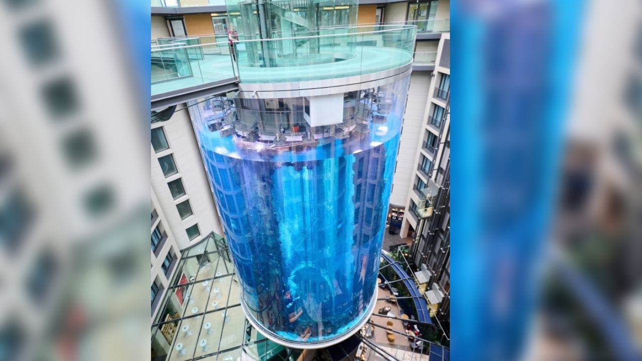 প্রত্যক্ষদর্শীদের কথায়, বিকট শব্দে কেঁপে ওঠে হোটেল। জলের তোড় ধেয়ে আসতে থাকতে লবির দিকে। এদিকে যাত্রীরা ভেবেছিলেন, কোনও বড়সড় বিস্ফোরণ হয়েছে। কারও কারও কথায়, মনে হচ্ছিল যেন কোনও বিমান ভেঙে পড়ে হোটেলের ভিতর। ছবি সংগৃহীত