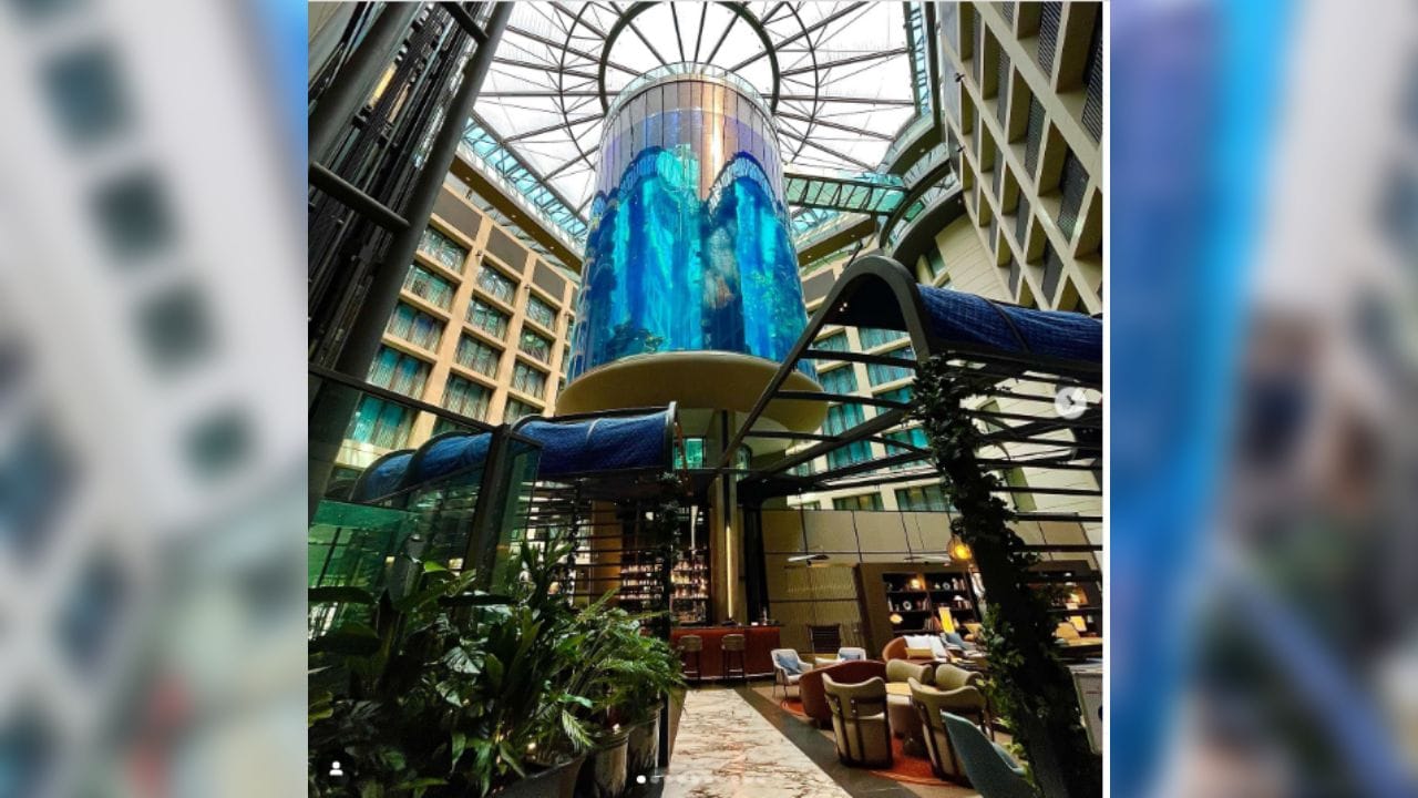 বিশালাকার অ্যাকোয়ারিয়াম ভেঙে জলে ভাসল হোটেল। মনে হচ্ছে যেন সুনামি। ওই অ্যাকোয়ারিয়ামে ছিল ১০ লক্ষ লিটারের বেশি জল। ওই বিশালাকার ফিশ ট্যাঙ্ক বা অ্যাকোয়ারিয়ামটি ভেঙে পড়ায় শুধু হোটেলই জল থই থই নয়। ভেসে গিয়েছে সেখানকার আসবাবপত্র, ভাসছে সংলগ্ন রাস্তাঘাট। ১৬ ফুটের ওই অ্যাকোয়ারিয়াম ভেঙে পড়ার মুহূর্তের কথা মনে করে রীতিমতো আতঙ্কিত উপস্থিত সকলে। ছবি সংগৃহীত