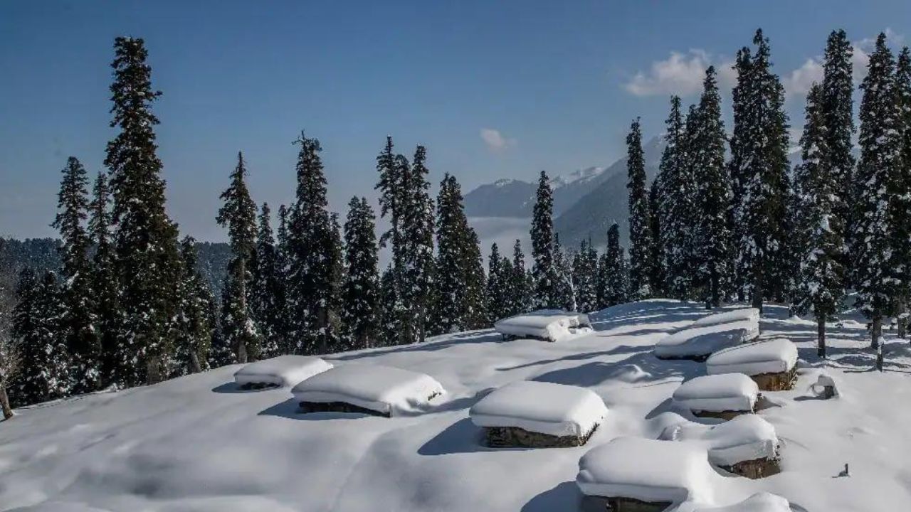 গুলমার্গ: কাঠের বাড়ি, পুরু বরফের স্তূপ, ক্রিসমাস ট্রি, পাইন গাছের সারি, ঘোড়ায় সফর, অ্যাডভেঞ্চারাস অ্যাক্টিভিটিজ... শীতের দিনে রোমাঞ্চকর অনুভূতি পেতে কাশ্মীরের এই নৈসর্গিক উপত্যকায় পৌঁছে যেতে পারেন আপনি। অসংখ্য রিসর্ট পাবেন এখানে। যেগুলির স্বচ্ছ কাঁচের জানলার মধ্য থেকেই তুষারপাত ও সাদা বরফে ঢাকা উপত্যকা দৃশ্য চাক্ষুস করতে পারবেন। সঙ্গে অবশ্যই চাই কাশ্মীরে বিখ্যাত গরম গরম কেশর চা।