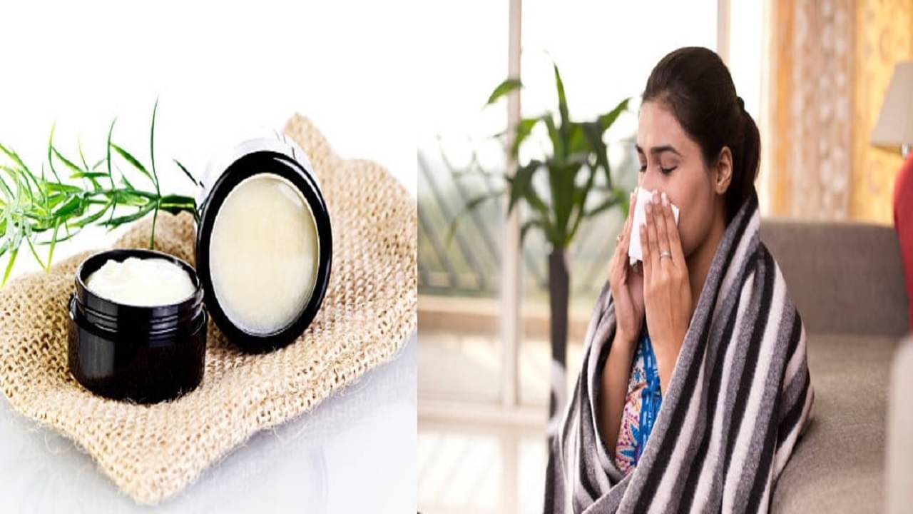 Homemade Chest Rub:  জমে থাকা কফ দূর হবে, সারবে কাশিও বাড়িতেই ঘরোয়া উপায়ে বানিয়ে নিন এই বাম