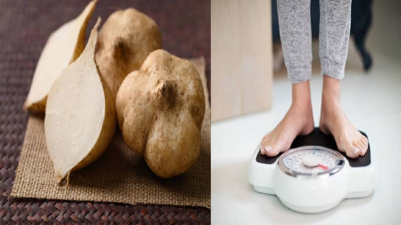 African Yam Bean: শীতের বাজার ছেয়েছে সাদা শাঁখালুতে, সুগারের রোগীরাও খেতে পারবেন কি?