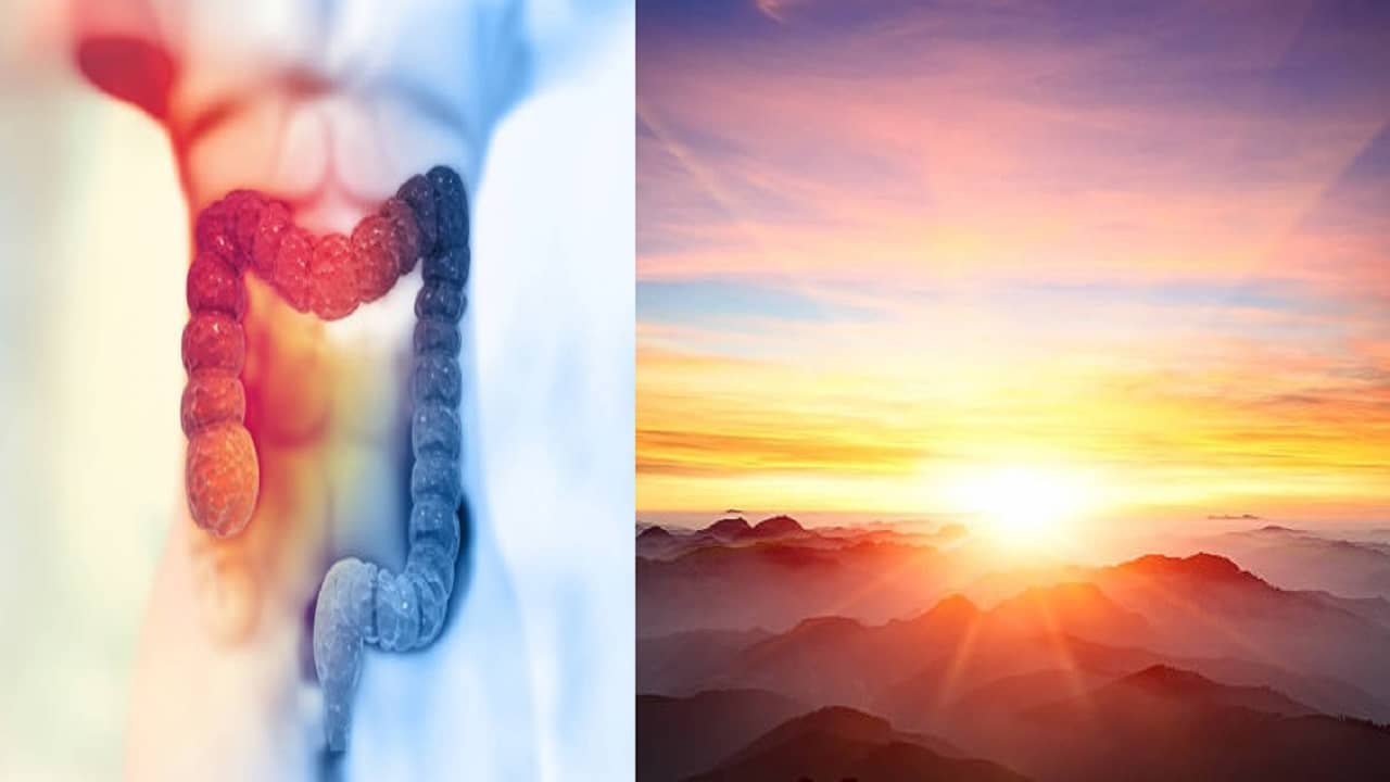 Sunlight Benefits: গায়ে লাগান শীতের সোনা রোদ, কোলন ক্যানসার সহ- একাধিক রোগ থেকে হবে মুক্তি