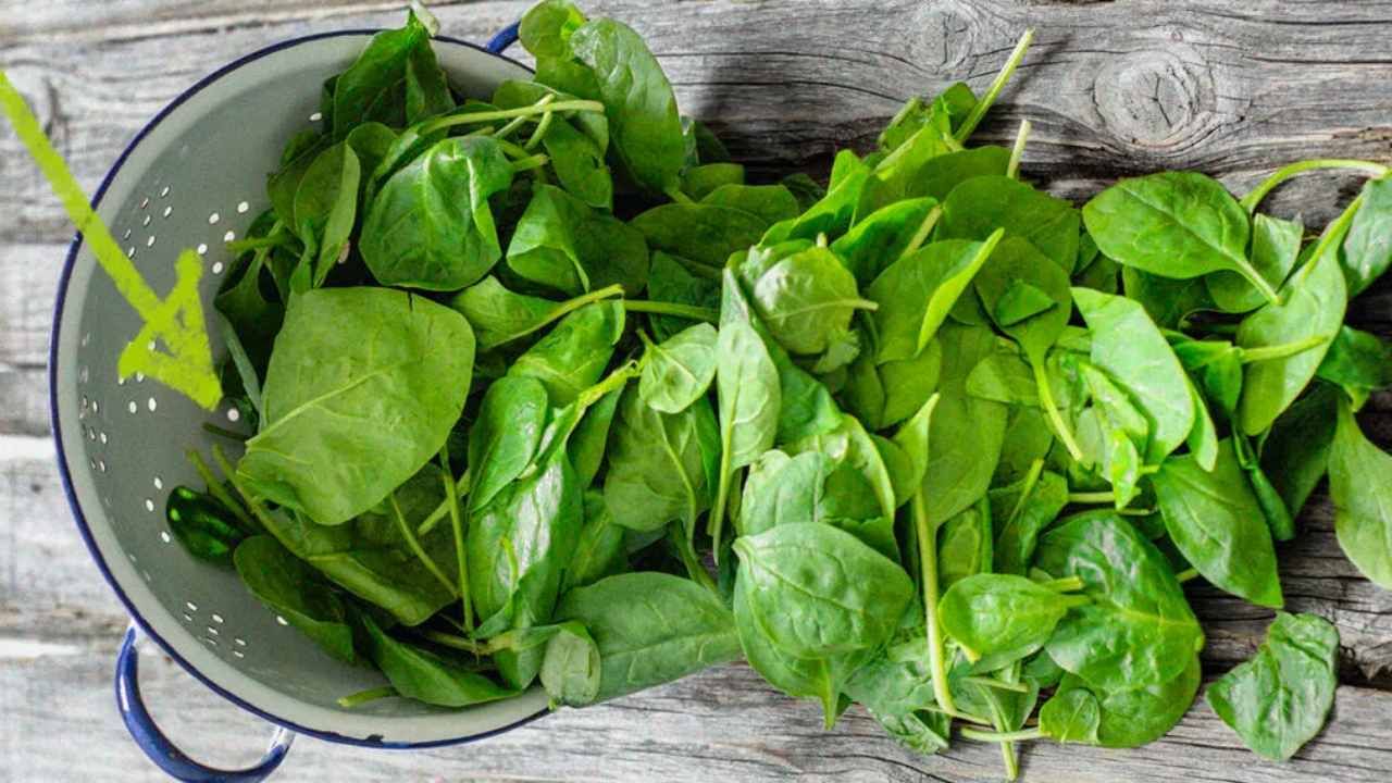 Spinach: পালং শাক খেয়ে অসুস্থ ২০০, আসল কারণ গাছের গোড়ায়