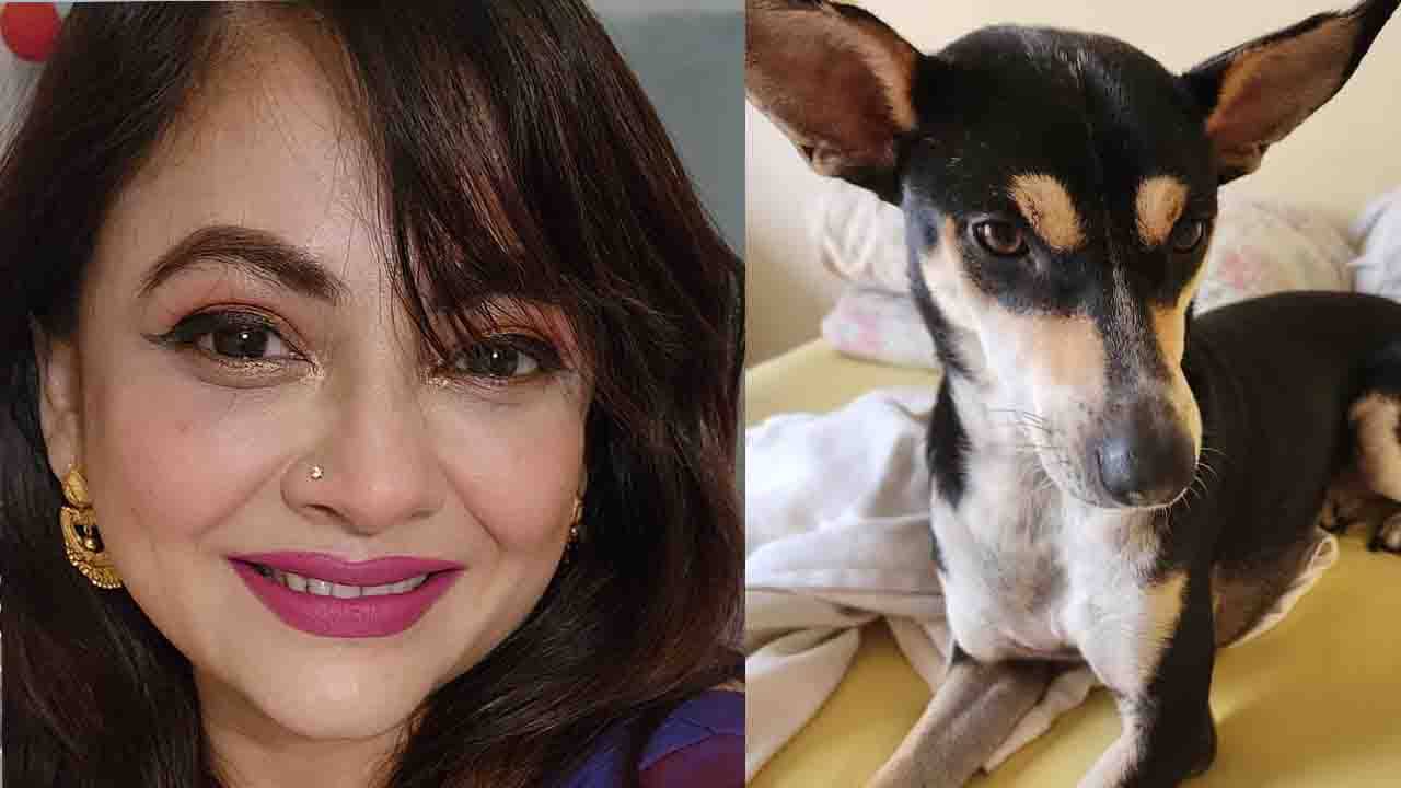 Sreelekha Mitra: প্রিয় পোষ্য নতুন সোফা ছিঁড়েছে, শ্রীলেখাকে কুকুরের মা বলে কটাক্ষ; ট্রোলারকে একহাত নিলেন অভিনেত্রীর অনুরাগীরা