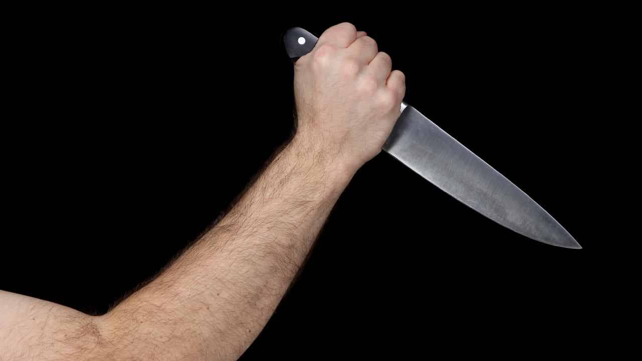 Murder Case: চাকরি যাওয়ায় সংস্থার মালিক-সহ তিনজনকে কুপিয়ে খুন করার অভিযোগ