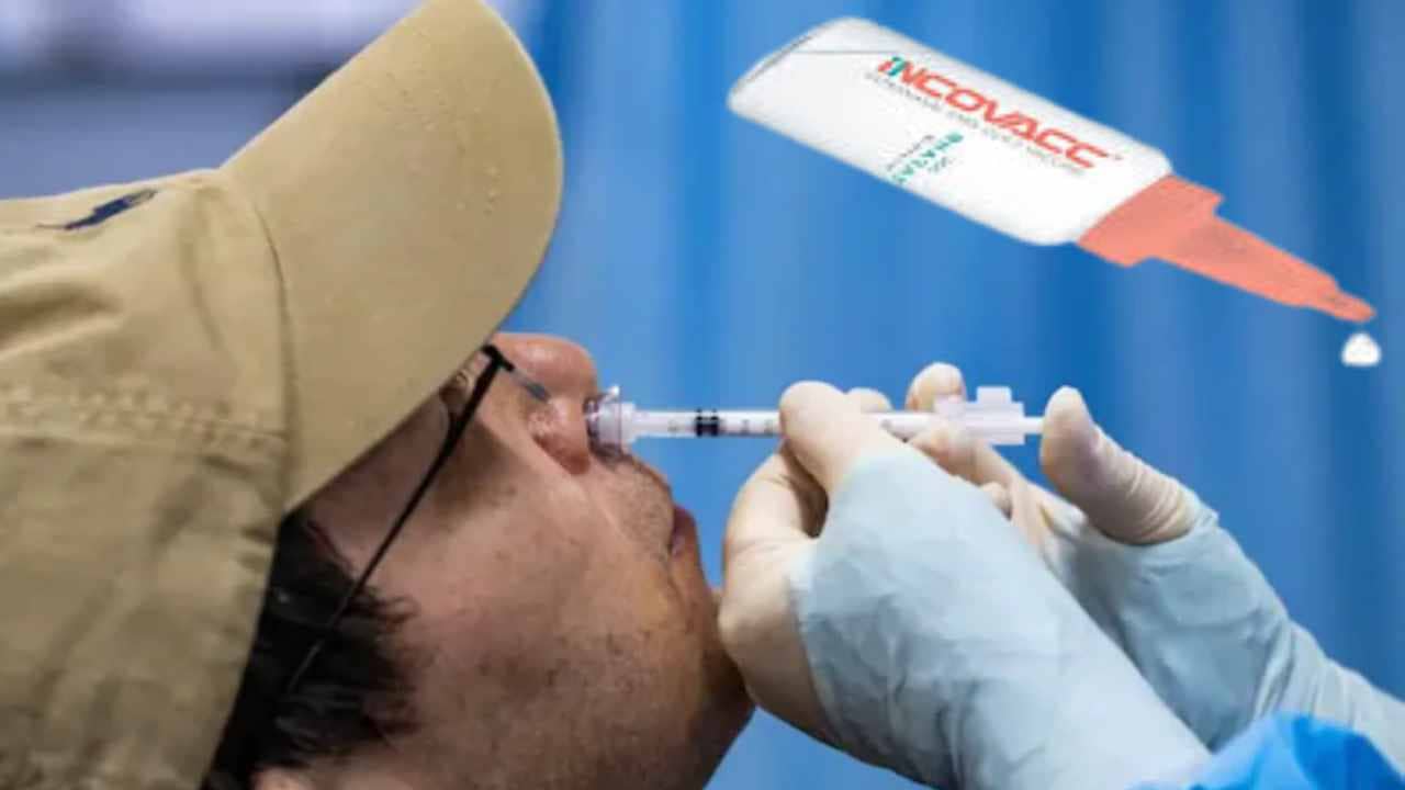 Nasal Vaccine Price: ভারত বায়োটকের ন্যাসাল টিকা মিলবে জানুয়ারিতেই, দাম কত হবে জানেন?