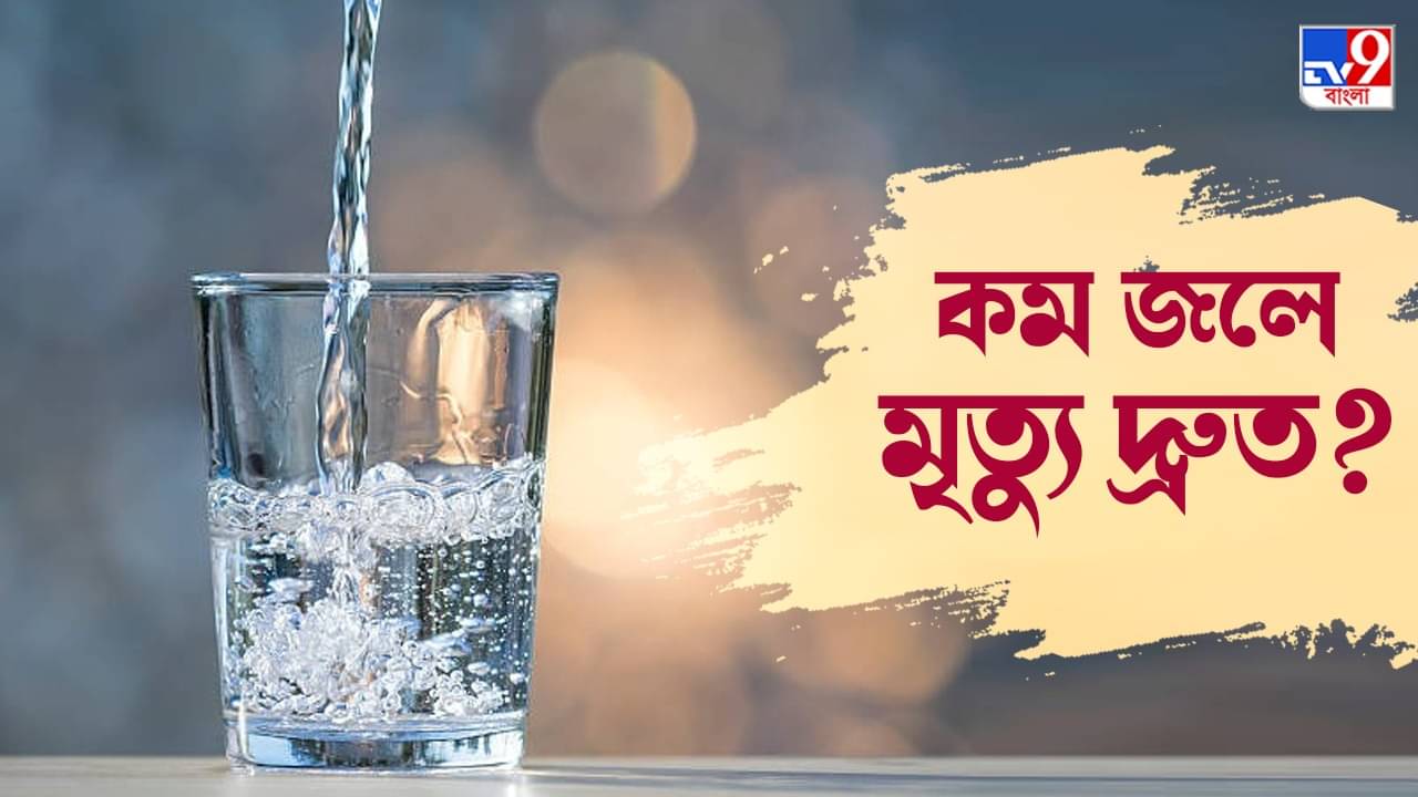 Dehydration: কাজের মধ্যে জল খেতে ভুলে যান? মৃত্যুর ঝুঁকি বাড়তে পারে ২০%