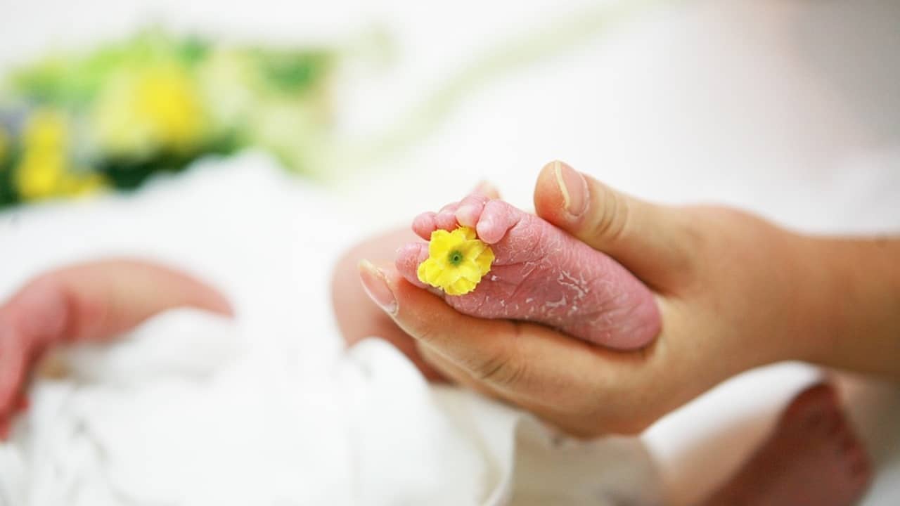 Passenger Delivers Baby Mid-air: দুবাই যাওয়ার পথে মাঝ আকাশেই প্রসব মহিলার, তারপর...