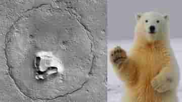 Bears Face On Mars: লাল গ্রহে ভাল্লুকের আনাগোনা? Nasa-র অরবিটারের তোলা মঙ্গলের নতুন ছবি দেখে হতবাক নেটদুনিয়া