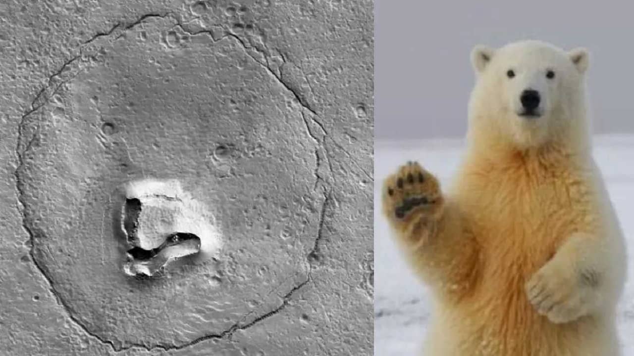 Bears Face On Mars: লাল গ্রহে ভাল্লুকের আনাগোনা? Nasa-র অরবিটারের তোলা মঙ্গলের নতুন ছবি দেখে হতবাক নেটদুনিয়া
