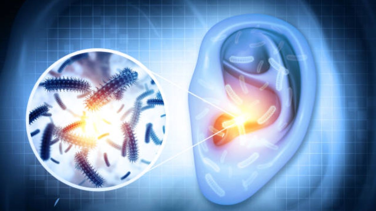 Ears And Cotton Buds ইয়ার বাডস দিয়েই কান চুলকোনো অভ্যাস? ঠিক করছেন