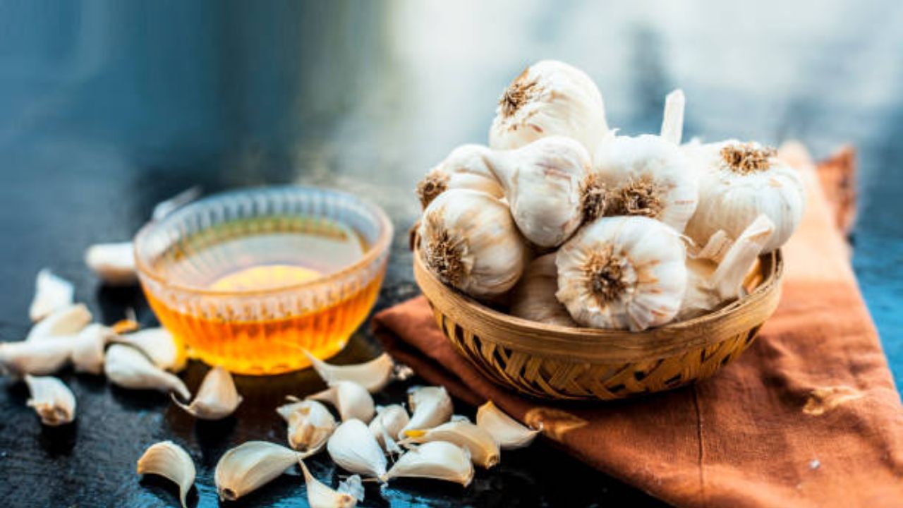 Health Benefits Of Garlic শীতকালীন জলখাবারে অবশ্যই রাখুন রসুন, কাজ