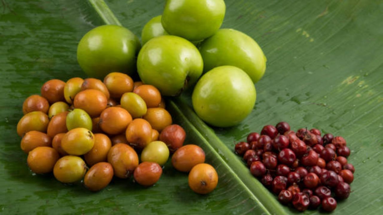 Jujube Fruit: সরস্বতী পুজোর আগে কুল খাচ্ছেন না? এই ফলের গুণ গাইলেন শহরের বিশিষ্ট পুষ্টিবিদ