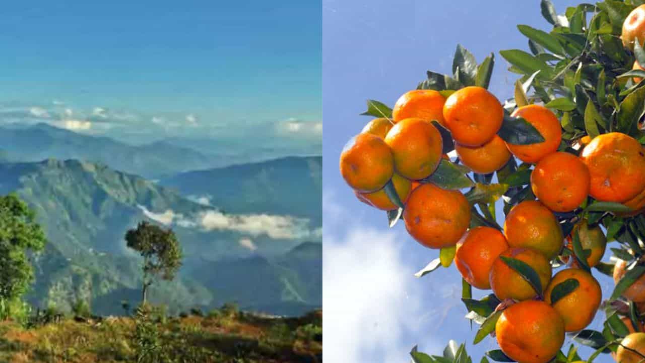 Sittong: শীতই সিটং যাওয়ার সেরা সময়, কেন জানেন? Sittong: শীতই সিটং যাওয়ার সেরা সময়, কেন জানেন?