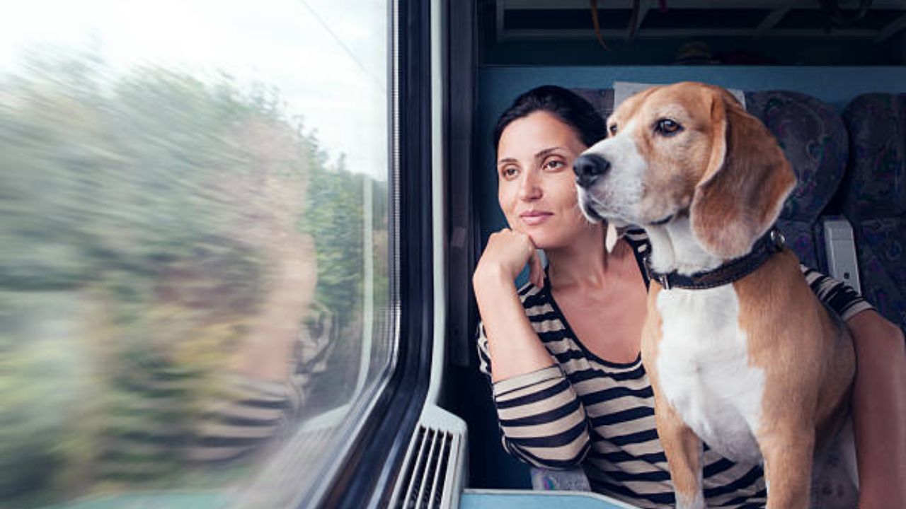 Train Travel with Pet: পোষ্যের সঙ্গে ট্রেনে সফর করতে চান? ভারতীয় রেলের এই নিয়ম মেনে টিকিট কাটুন