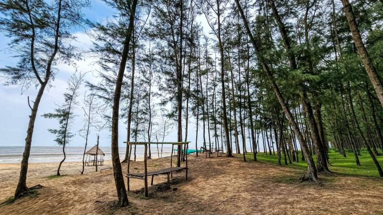 Bagda Sea Beach: তাজপুর-মন্দারমণি আর নয়, বাজেট সামলে লং উইকএন্ডে ঘুরে আসুন বাগদা থেকে