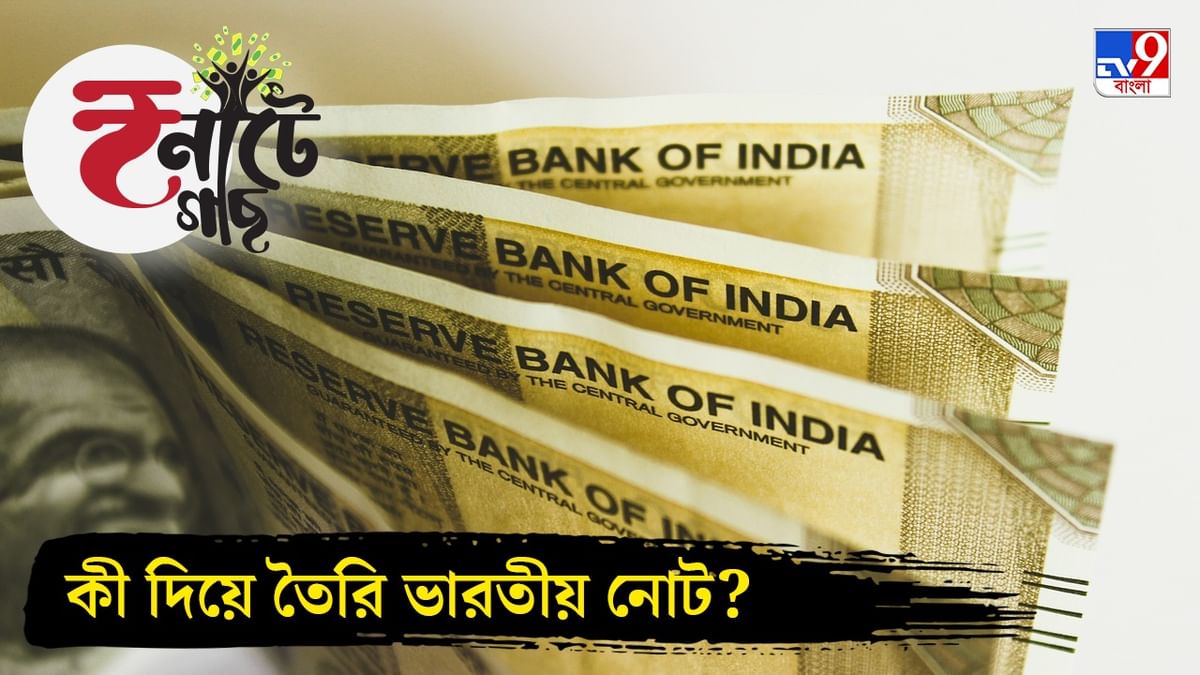 Bank Notes: ভারতীয় নোট কাগজের নয়! তাহলে কী দিয়ে তৈরি হয় টাকা?