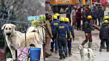 Joshimath Sinking: ওরা বিপর্যয় বোঝে না, জোশীমঠের ফাটল ধরা বাড়িতেই মালিকের অপেক্ষায় লুসি-বোজো-ম্যাক্স