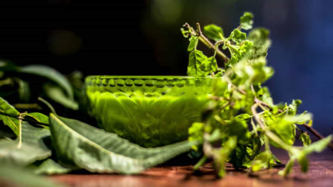 Tulsi For Skin Care: এইভাবে তুলসি পাতা ব্যবহার করলে ৭ দিনেই বাড়বে ত্বকের ঔজ্জ্বল্য, সারবে ব্রণ Tulsi For Skin Care: এইভাবে তুলসি পাতা ব্যবহার করলে ৭ দিনেই বাড়বে ত্বকের ঔজ্জ্বল্য, সারবে ব্রণ