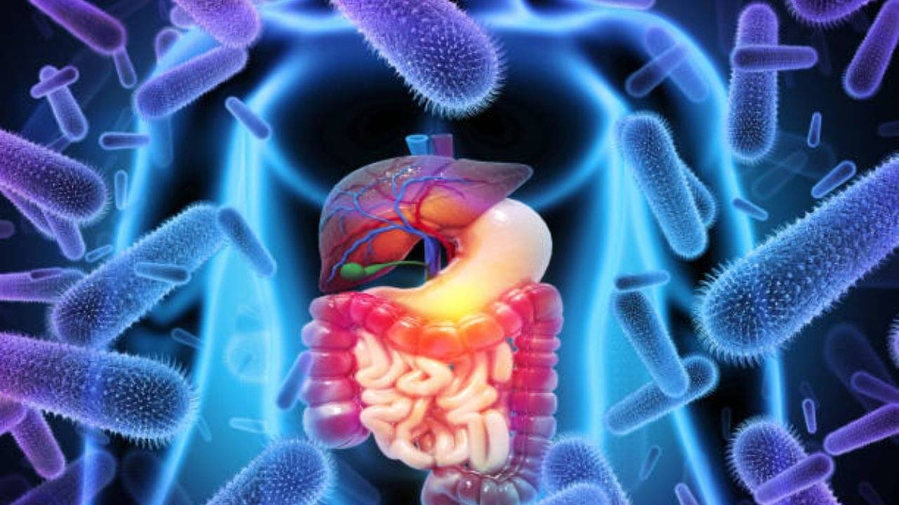 Stomach Infection: পেটে সংক্রমণ হলে জলও হজম হয় না, উপসর্গ দেখলেই রুখে দিন এইসব ঘরোয়া উপায়ে